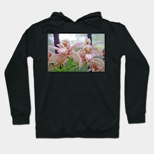 Kula Botanical Gardens Study 36 Hoodie